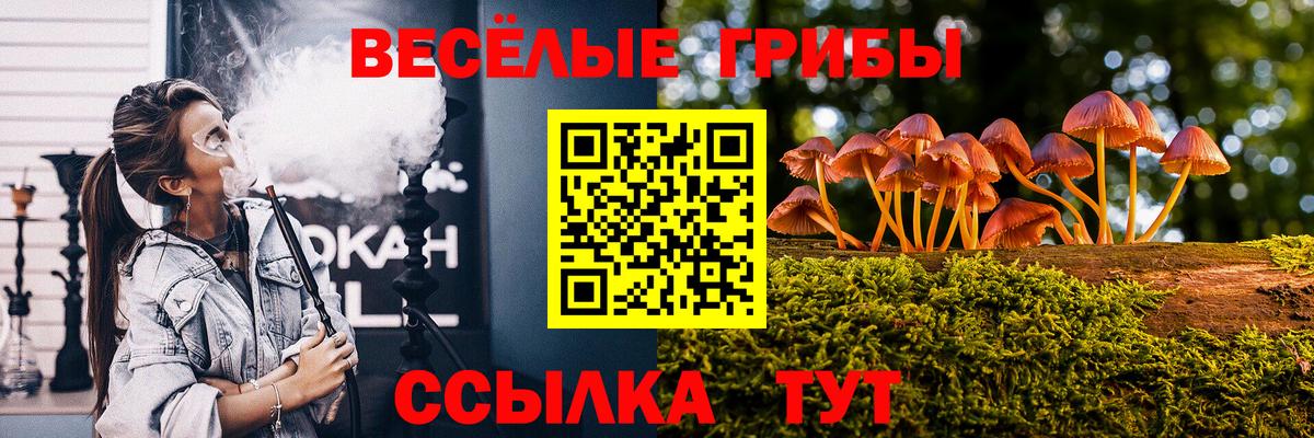 Псилоцибиновые грибы Cubensis  Вход с VPN  Железногорск  Псилоцибиновые грибы Psilocybe 