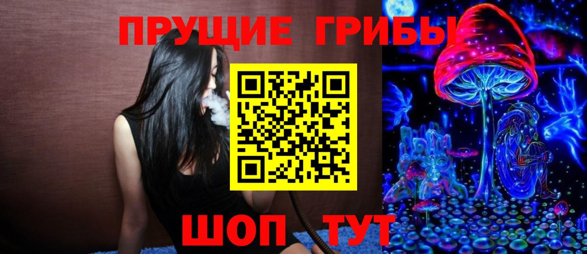 Псилоцибиновые грибы Psilocybe Железногорск